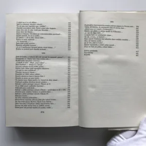 Drobné klepy VI, Jan Neruda