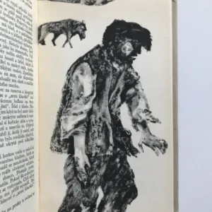 Volání divočiny a povídky z Aljašky, Jack London