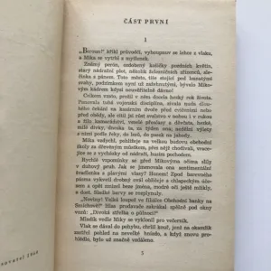 Peníze a krev, Karel Nový