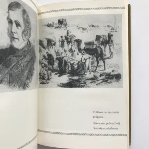 Hazard pana Lessepse, Desider Galský