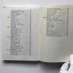 Kronika Ztracené stopy, Jaroslav Foglar