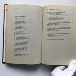 Historie Svorné sedmy a Nováček Bubáček píše deník, Jaroslav Foglar, Marko Čermák