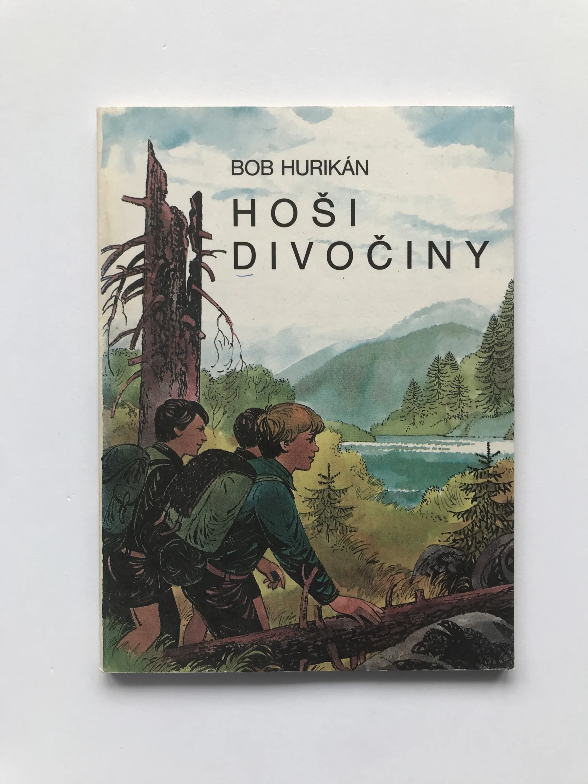 Hoši divočiny, Bob Hurikán, Marko Čermák