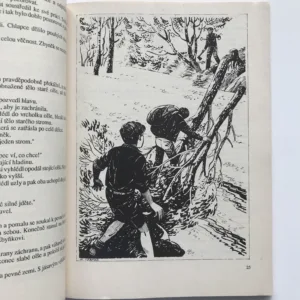 Hoši divočiny, Bob Hurikán, Marko Čermák