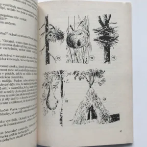 Hoši divočiny, Bob Hurikán, Marko Čermák