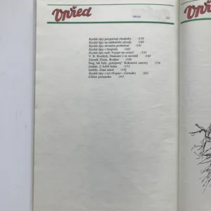 Zlaté údolí (Příběhy ze starých časopisů), Jaroslav Novák