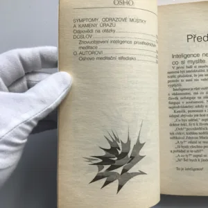 Tvořivá odpověď na přítomnost inteligence, Osho