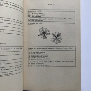 Pavlův bylinářský vševěd, Pavel Váňa