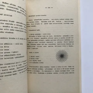 Pavlův bylinářský vševěd, Pavel Váňa