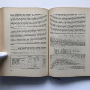 Vývoj obyvatelstva v českých zemích 1754-1914, Ludmila Kárníková