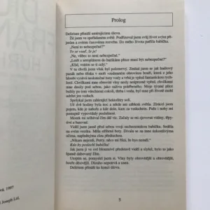 Hurikán, Dick Francis