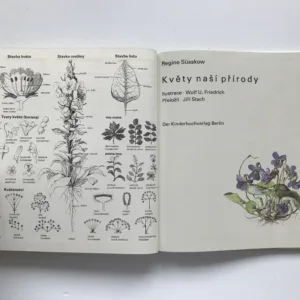 Květy naší přírody, Regine Süsskow, Wolf U. Friedrich