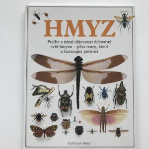 Hmyz, Laurence Mound