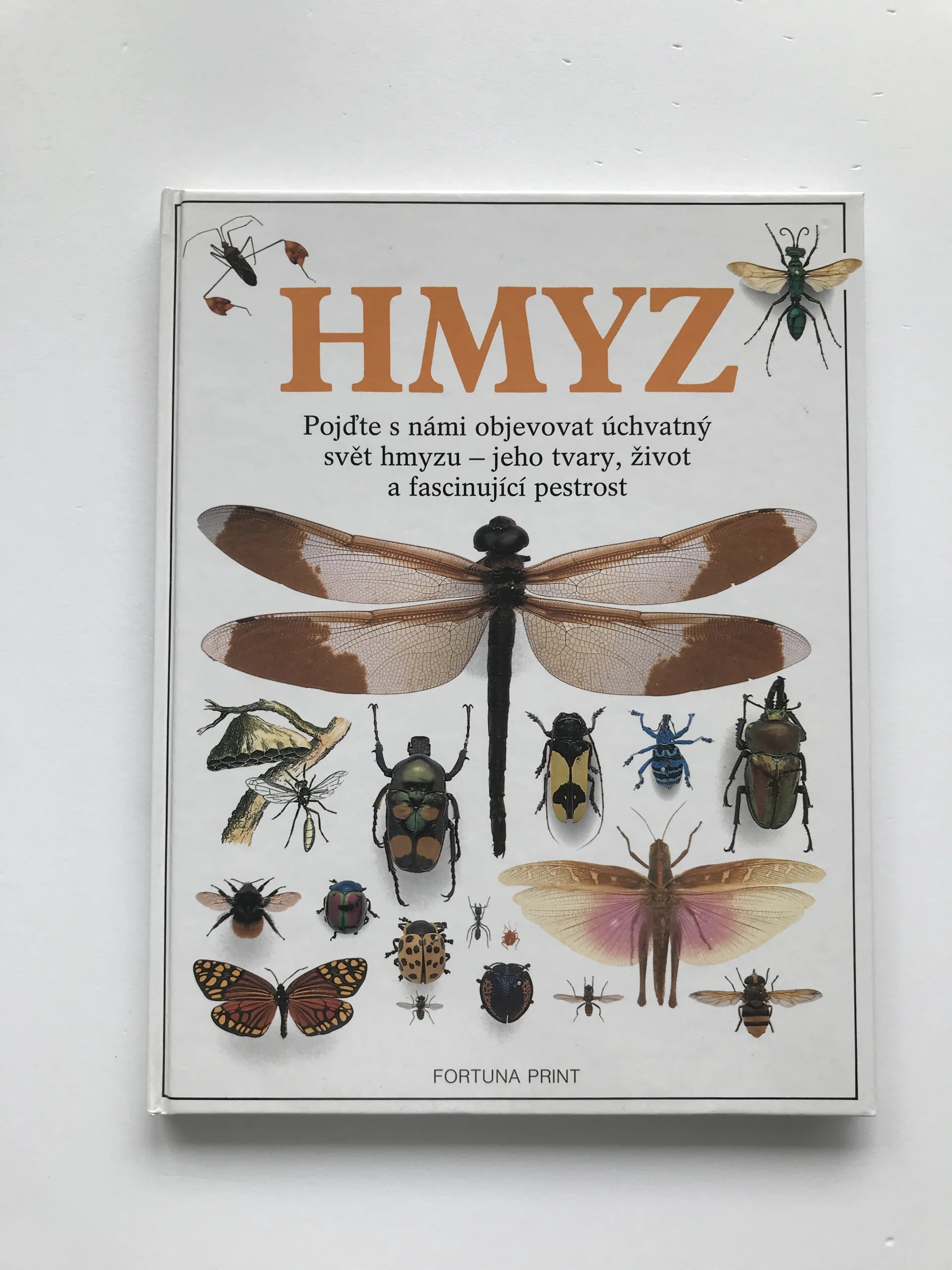 Hmyz, Laurence Mound