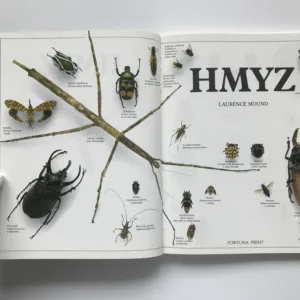 Hmyz, Laurence Mound