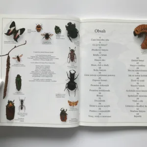 Hmyz, Laurence Mound