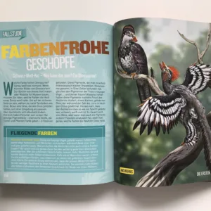 Dino Rekorde, Jen Agresta, Avery Elizabeth Hurt