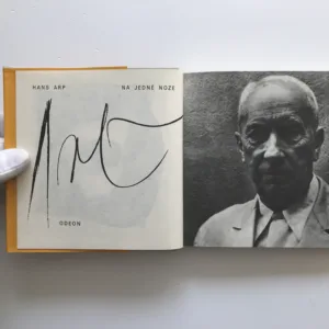 Na jedné noze, Hans Arp