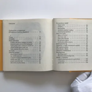 Na jedné noze, Hans Arp