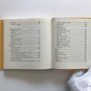 Na jedné noze, Hans Arp