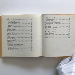 Na jedné noze, Hans Arp