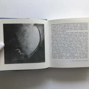 Z mého života a z mé dílny, Alfred Kubin