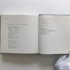 Z mého života a z mé dílny, Alfred Kubin