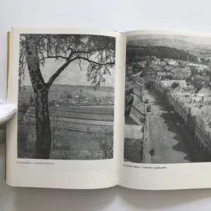 Chodsko, domov můj (Život a dílo národního umělce Jindřicha Jindřicha), Antonín Špelda