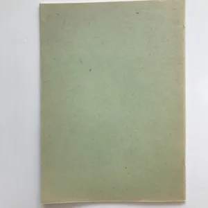 Ze skicáře mistra kominického, Jaroslav Marek