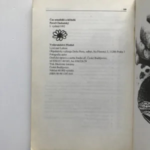 Čas senzibilů a léčitelů (Osudy, příběhy, záhady, rady), Pavel Chobotský