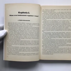 Čtení osudu z rukou, Jean des Vignes Rouges