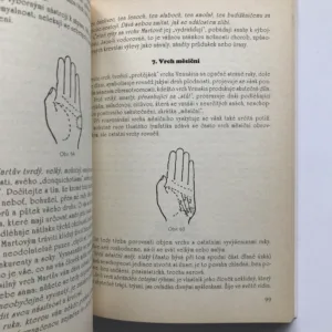 Čtení osudu z rukou, Jean des Vignes Rouges