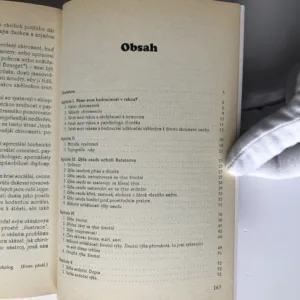 Čtení osudu z rukou, Jean des Vignes Rouges