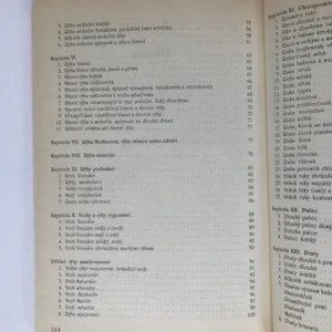 Čtení osudu z rukou, Jean des Vignes Rouges