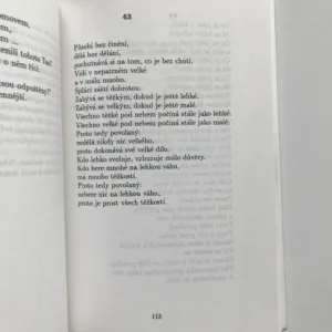 Ve světě taoismu, Jiří Navrátil