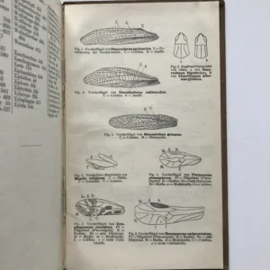 Tabellen zur Bestimmung einheimischer Insekten (I. Mit Ausschluß der Käfer und Schmetterlinge), Heinrich Karny