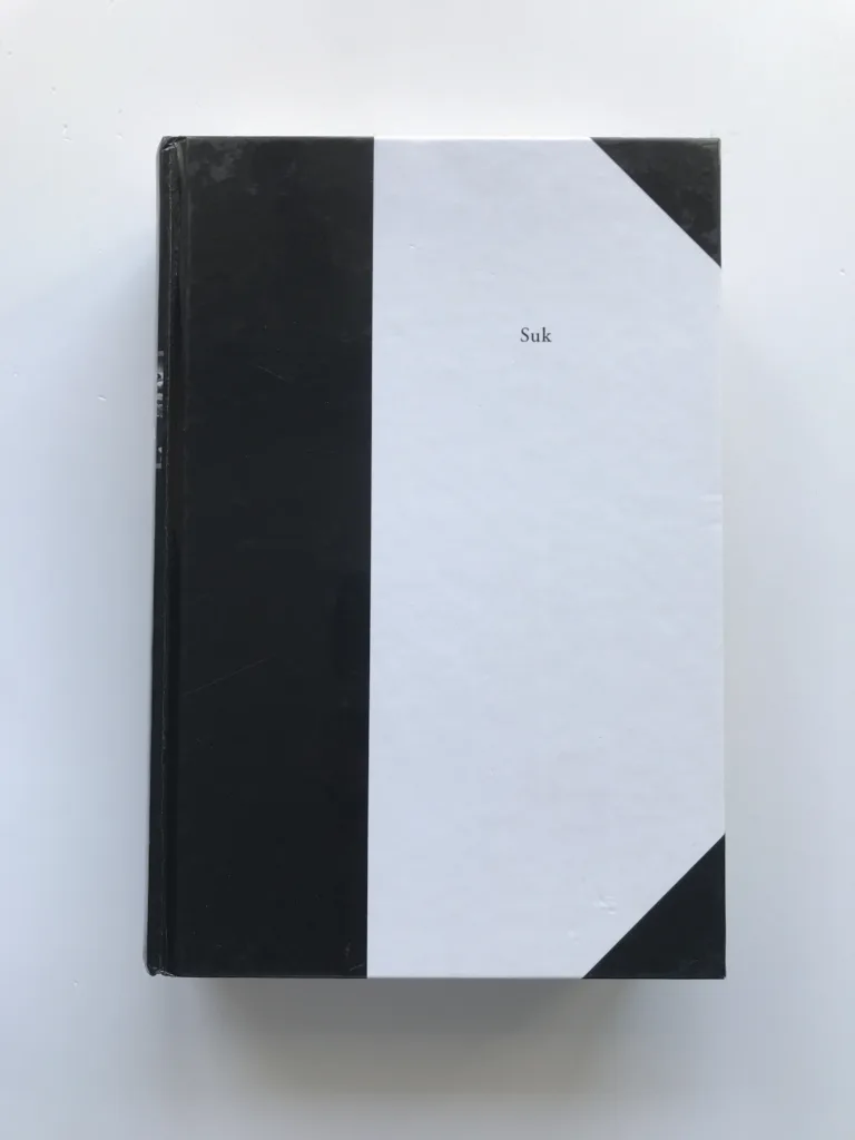 Labyrintem revoluce (Aktéři, zápletky a křižovatky jedné politické krize), Jiří Suk