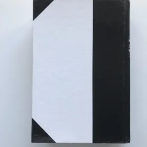 Labyrintem revoluce (Aktéři, zápletky a křižovatky jedné politické krize), Jiří Suk