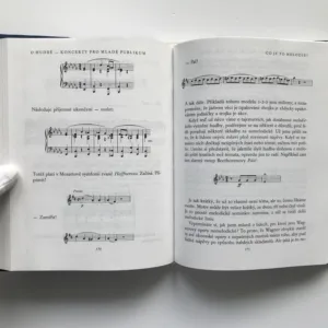 O hudbě (Koncerty pro mladé publikum), Leonard Bernstein