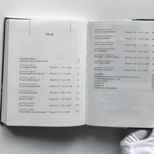 O hudbě (Koncerty pro mladé publikum), Leonard Bernstein