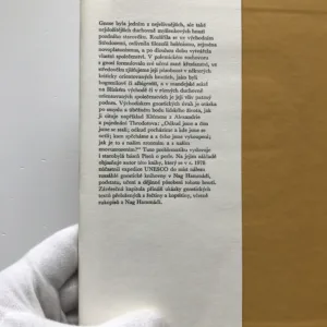 Píseň o perle (Tajné knihy starověkých gnostiků), Petr Pokorný