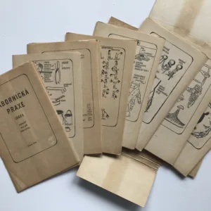 Tábornická praxe, Joges, Miloš Zapletal