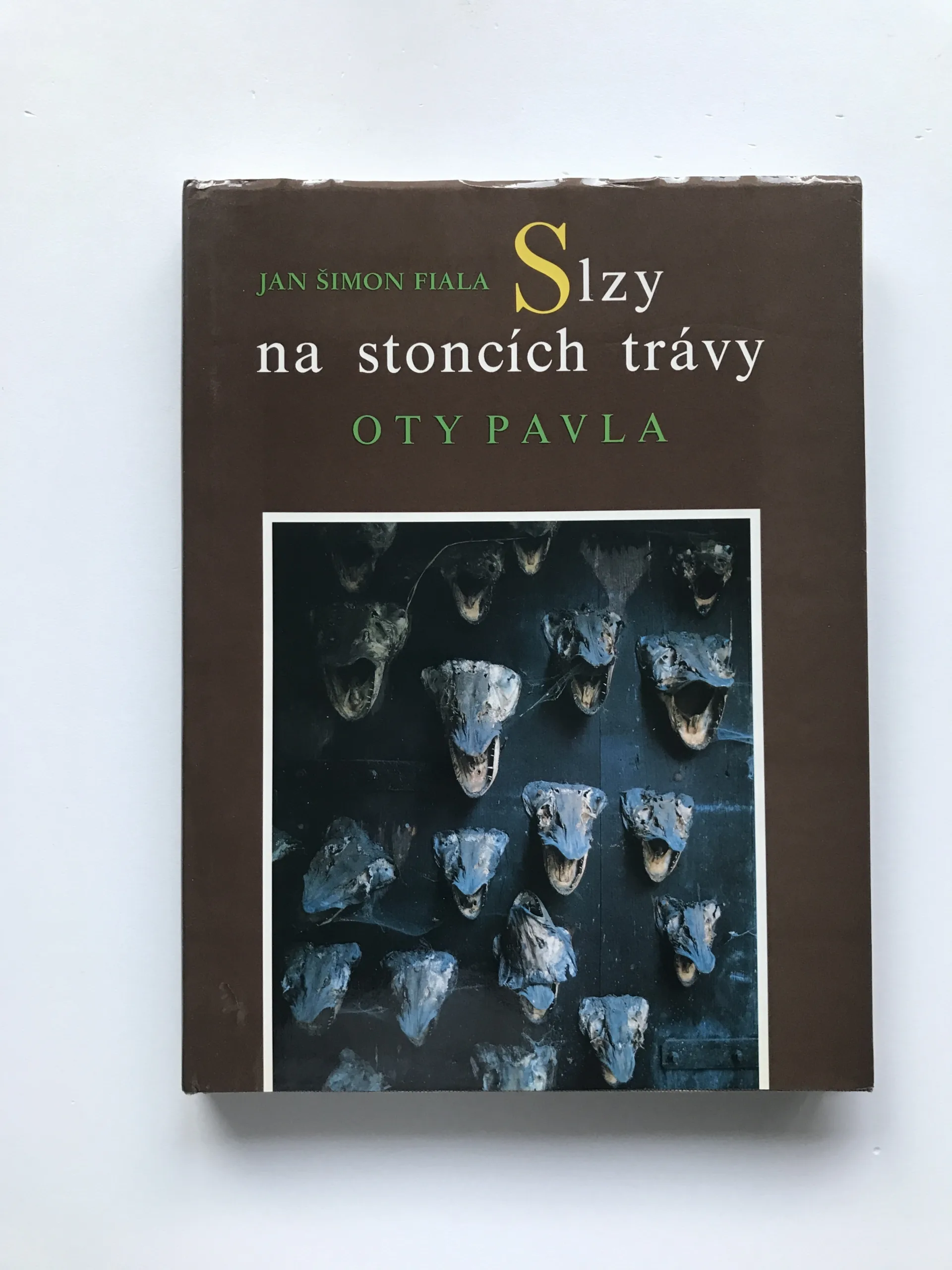 Slzy na stoncích trávy Oty Pavla, Jan Šimon Fiala, Otakar Brůna