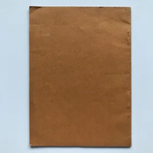 Velká solidarita Mezinárodní Rudé pomoci v Sovětském svazu socialistických republik