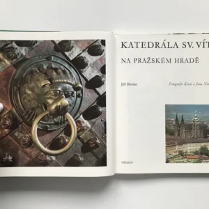 Katedrála sv. Víta na Pražském hradě, Jiří Burian, Karel Neubert, Jana Neubertová