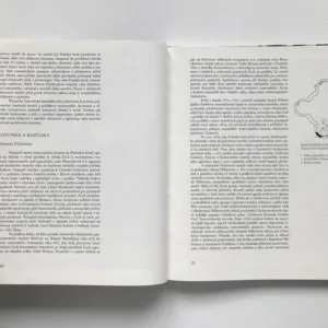 Katedrála sv. Víta na Pražském hradě, Jiří Burian, Karel Neubert, Jana Neubertová