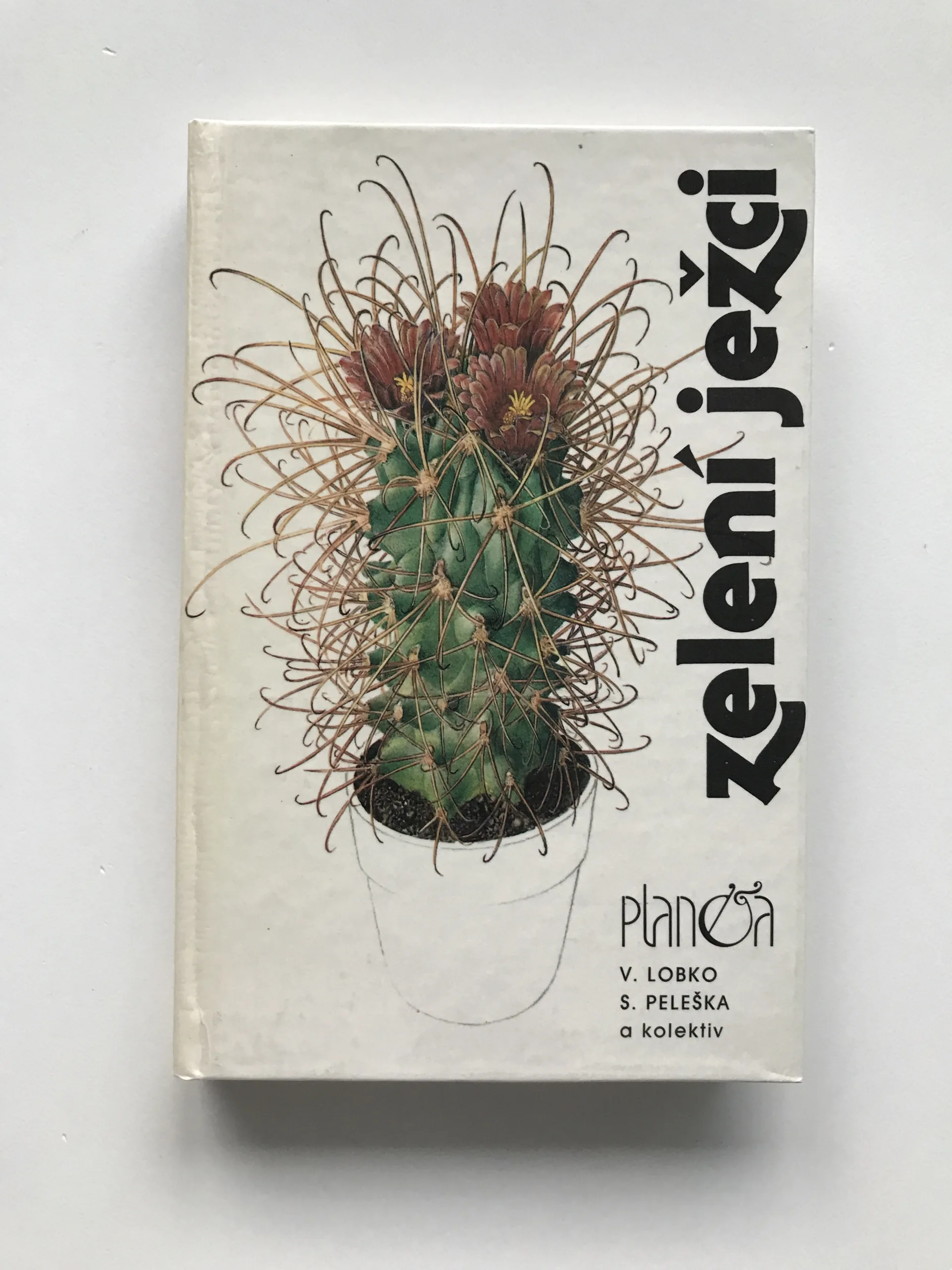 Zelení ježci, Valerij Dmitrijevič Lobko, Stanislav Peleška