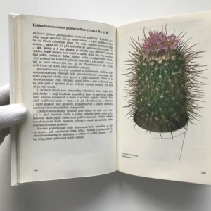 Zelení ježci, Valerij Dmitrijevič Lobko, Stanislav Peleška