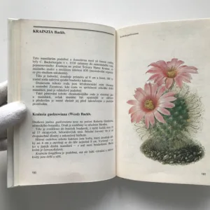 Zelení ježci, Valerij Dmitrijevič Lobko, Stanislav Peleška