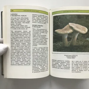 Houbařská kuchařka, Miroslav Smotlacha